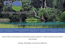 Tablet Screenshot of ecosenseint.com